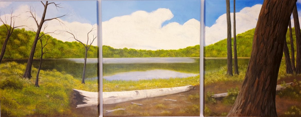 Landschap met een meer, groene bomen en een blauwe lucht met enkele wolken.